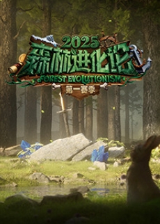 森林进化论2025