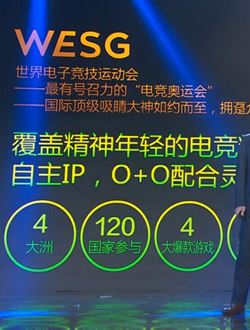 WESG世界电子竞技运动会