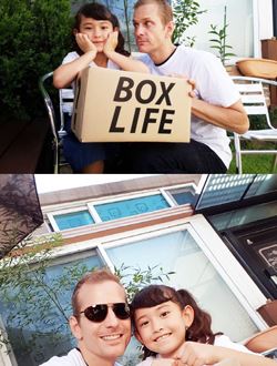 BOX LIFE